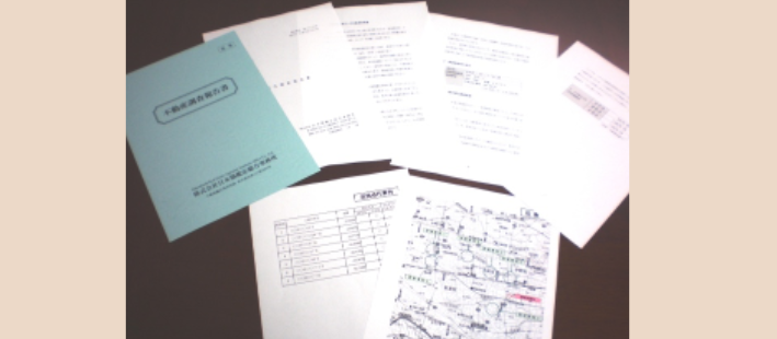 地代報告書のイメージ画像